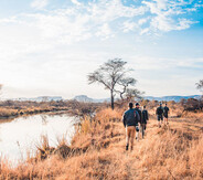 Experiences walking the plains