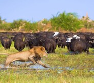 6 Botswana